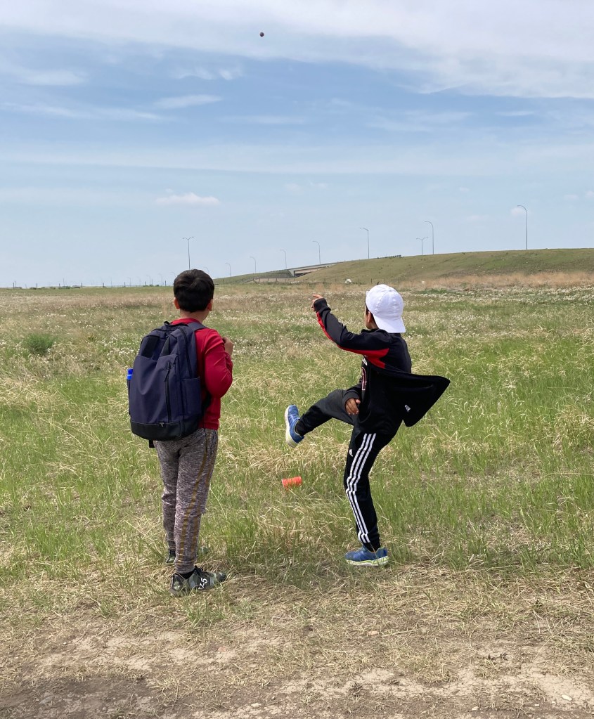 Soil Campers are throwing Seed Balls of native plants to the Land of Dreams
